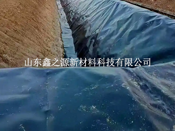 魚塘防滲膜焊縫漏了？這些檢測技巧一查一個準